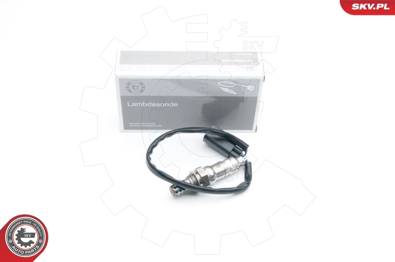 Oxygen Sensor